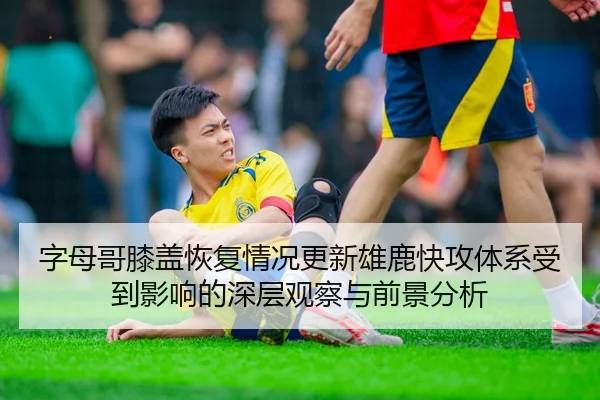 字母哥膝盖恢复情况更新雄鹿快攻体系受到影响的深层观察与前景分析